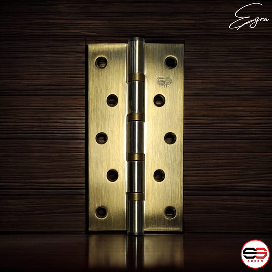 Egra Door Hinge