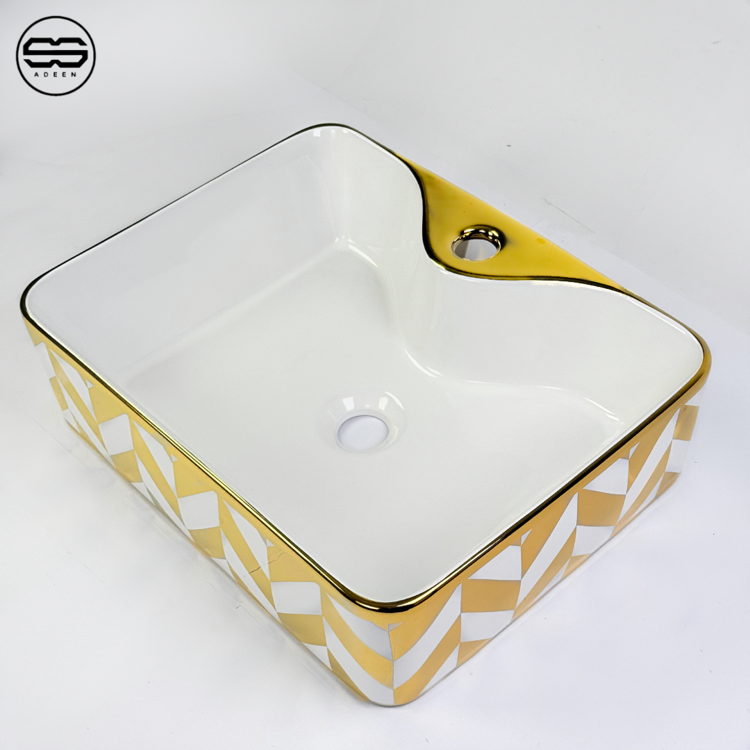 010 Basin
