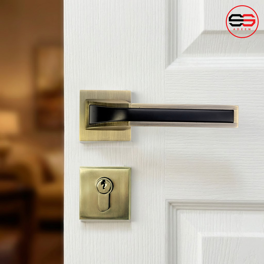 R29 Rosette Lock